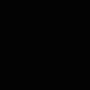 Meet your Posher, Ava